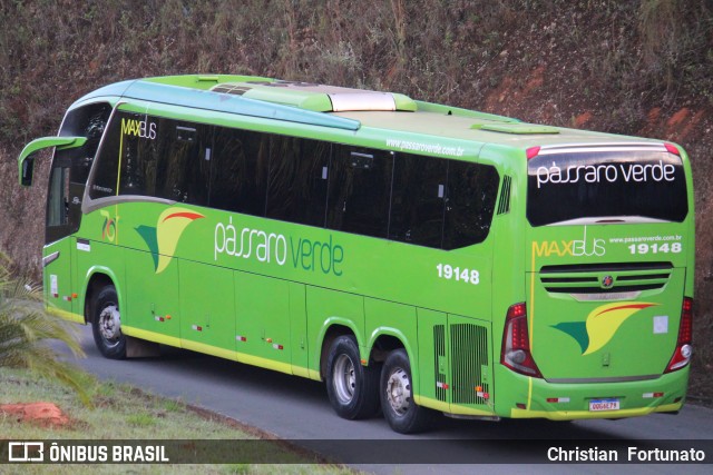 Pássaro Verde 19148 na cidade de Coimbra, Minas Gerais, Brasil, por Christian  Fortunato. Número da foto: #13194030.