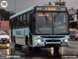 Transcal Sul Transportes Coletivos 24113 na cidade de Gravataí, Rio Grande do Sul, Brasil, por Rodrigo Koscolka. Número da foto: #13195517.