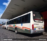 Viação Montes Brancos RJ 196.052 na cidade de Araruama, Rio de Janeiro, Brasil, por Eduardo Santos. Número da foto: #13196531.
