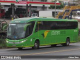 Pássaro Verde 16912 na cidade de João Monlevade, Minas Gerais, Brasil, por Adrian Sena. Número da foto: #13194236.