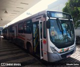 Viação Montes Brancos RJ 196.081 na cidade de Araruama, Rio de Janeiro, Brasil, por Eduardo Santos. Número da foto: #13194577.