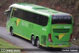 Pássaro Verde 16901 na cidade de Coimbra, Minas Gerais, Brasil, por Christian  Fortunato. Número da foto: #13194038.