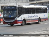 Empresa de Transportes Limousine Carioca RJ 129.011 na cidade de Rio de Janeiro, Rio de Janeiro, Brasil, por Augusto César. Número da foto: #13196292.