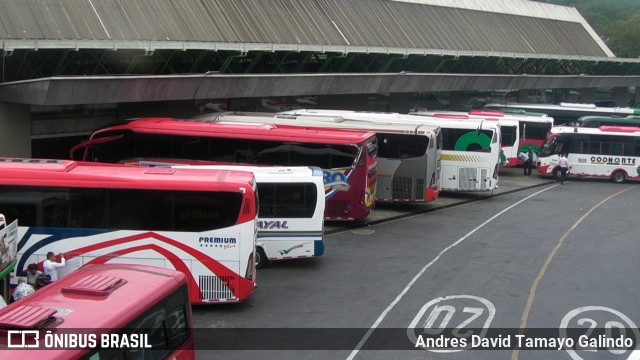 Terminais Rodoviários e Urbanos TERMINAL NORTE MEDELLIN na cidade de Medellín, Antioquia, Colômbia, por Andres David Tamayo Galindo. Número da foto: #13197230.