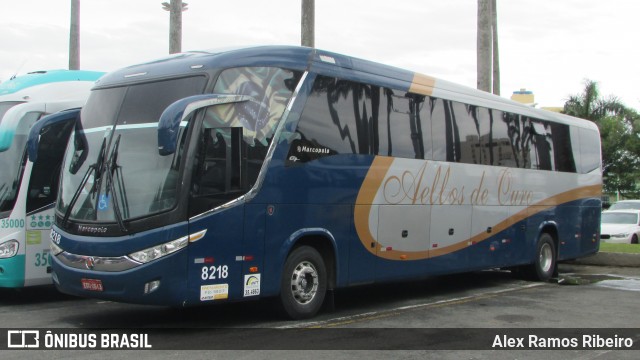 Bia Turismo > Aellos de Ouro 8218 na cidade de Aparecida, São Paulo, Brasil, por Alex Ramos Ribeiro. Número da foto: #13199033.