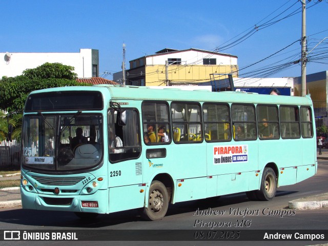 Leoncinho Transportes 2250 na cidade de Pirapora, Minas Gerais, Brasil, por Andrew Campos. Número da foto: #13200350.
