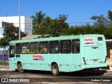 Leoncinho Transportes 2250 na cidade de Pirapora, Minas Gerais, Brasil, por Andrew Campos. Número da foto: #13200314.