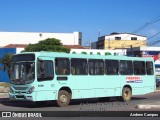 Leoncinho Transportes 2090 na cidade de Pirapora, Minas Gerais, Brasil, por Andrew Campos. Número da foto: #13200333.