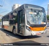 TRANSPPASS - Transporte de Passageiros 8 0210 na cidade de São Paulo, São Paulo, Brasil, por Matheus Zaghi. Número da foto: #13199829.