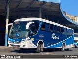 Citral Transporte e Turismo 3106 na cidade de Porto Alegre, Rio Grande do Sul, Brasil, por Vitor Aguilera. Número da foto: #:id.
