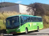 Pássaro Verde 15142 na cidade de Ouro Preto, Minas Gerais, Brasil, por Eloísio Pereira Ribeiro. Número da foto: #13200182.