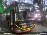 Prefeitura Municipal de Petrópolis TESTE na cidade de Petrópolis, Rio de Janeiro, Brasil, por Fábio Singulani. Número da foto: #13200832.