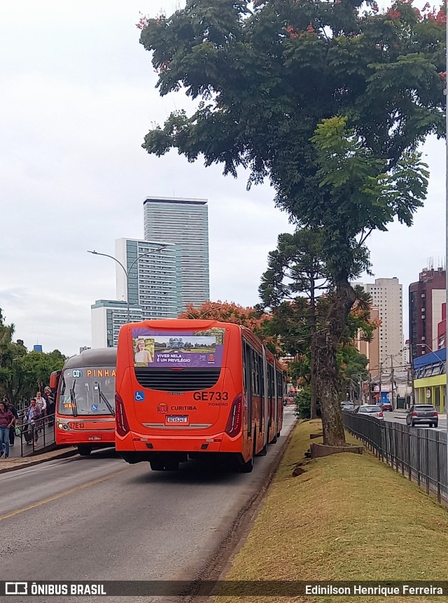 Viação Cidade Sorriso >> Viação Sorriso de Curitiba GE733 na cidade de Curitiba, Paraná, Brasil, por Edinilson Henrique Ferreira. Número da foto: #13203734.