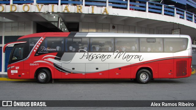 Empresa de Ônibus Pássaro Marron 5641 na cidade de Aparecida, São Paulo, Brasil, por Alex Ramos Ribeiro. Número da foto: #13204625.
