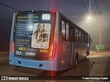 FAOL - Friburgo Auto Ônibus 553 na cidade de Nova Friburgo, Rio de Janeiro, Brasil, por Pedro Henrique Sudoh. Número da foto: #13202346.