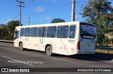 Viação Marumbi 28049 na cidade de Curitiba, Paraná, Brasil, por BUSOLOGIA ACS Caetano. Número da foto: #13202318.