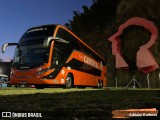 Catedral Turismo 24612 na cidade de Campinas, São Paulo, Brasil, por Adriano Barbosa. Número da foto: #13202159.