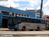 Rosa Turismo 23302 na cidade de Tatuí, São Paulo, Brasil, por Weslley Kelvin Batista. Número da foto: #13203262.