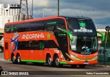 Empresa de Transportes Andorinha 7169 na cidade de São Paulo, São Paulo, Brasil, por Tadeu Vasconcelos. Número da foto: #13266444.