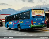 Rápido Expresso Fênix Viação 25445 na cidade de Ilhabela, São Paulo, Brasil, por Álvaro Vinicius. Número da foto: #:id.