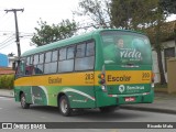 Colégio Bom Jesus 203 na cidade de Colombo, Paraná, Brasil, por Ricardo Matu. Número da foto: #13268436.