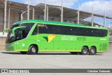 Pássaro Verde 16902 na cidade de Viçosa, Minas Gerais, Brasil, por Christian  Fortunato. Número da foto: #13267631.