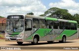 Cidade Verde Transporte Rodoviário 1201 na cidade de Maringá, Paraná, Brasil, por Pedroka Ternoski. Número da foto: #13268568.