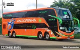 Empresa de Transportes Andorinha 7167 na cidade de São Paulo, São Paulo, Brasil, por Tadeu Vasconcelos. Número da foto: #13266443.