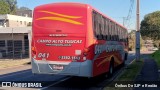 Empresa Campo Alto Tijucas 041 na cidade de São José dos Pinhais, Paraná, Brasil, por Ônibus De SJP e Região. Número da foto: #13266920.
