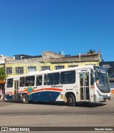 Auto Viação Salineira RJ 111.065 na cidade de São Pedro da Aldeia, Rio de Janeiro, Brasil, por Eduardo Santos. Número da foto: #13266526.