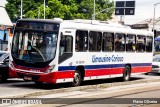 Empresa de Transportes Limousine Carioca RJ 129.010 na cidade de Rio de Janeiro, Rio de Janeiro, Brasil, por Flávio Oliveira. Número da foto: #13267976.