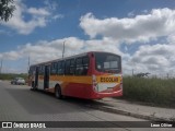 Pereira Transportes 17 na cidade de Caruaru, Pernambuco, Brasil, por Leon Oliver. Número da foto: #13266316.