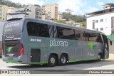 Pássaro Verde 24186 na cidade de Viçosa, Minas Gerais, Brasil, por Christian  Fortunato. Número da foto: #:id.