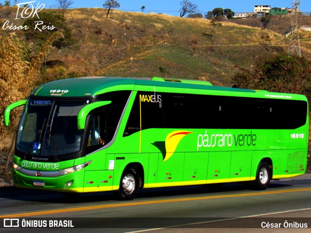 Pássaro Verde 16910 na cidade de Belo Horizonte, Minas Gerais, Brasil, por César Ônibus. Número da foto: #13291282.