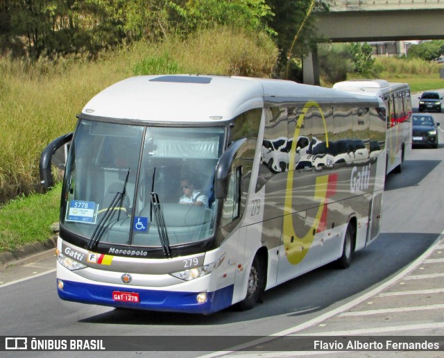 Gatti 279 na cidade de Araçariguama, São Paulo, Brasil, por Flavio Alberto Fernandes. Número da foto: #13291104.