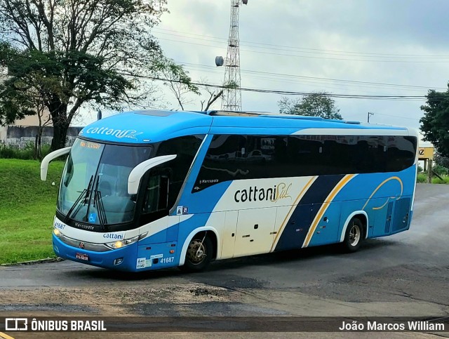 Cattani Sul Transportes e Turismo 41687 na cidade de Foz do Iguaçu, Paraná, Brasil, por João Marcos William. Número da foto: #13291563.