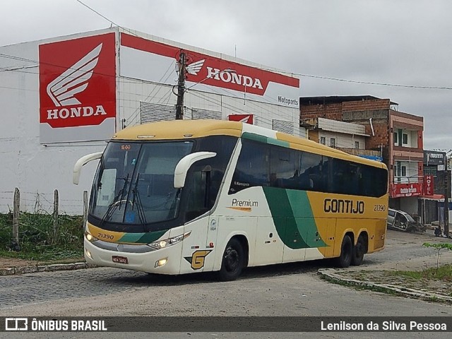 Empresa Gontijo de Transportes 21390 na cidade de Caruaru, Pernambuco, Brasil, por Lenilson da Silva Pessoa. Número da foto: #13290927.