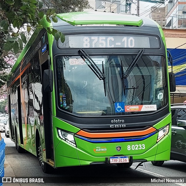 TRANSPPASS - Transporte de Passageiros 8 0233 na cidade de São Paulo, São Paulo, Brasil, por Michel Nowacki. Número da foto: #13292844.