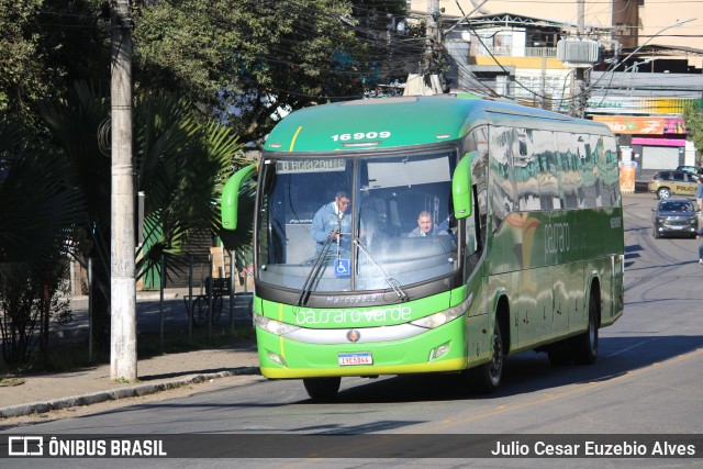 Pássaro Verde 16909 na cidade de Viçosa, Minas Gerais, Brasil, por Julio Cesar Euzebio Alves. Número da foto: #13292991.