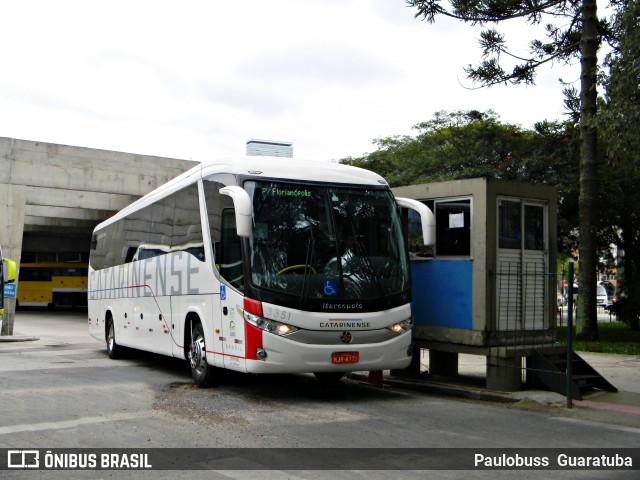 Auto Viação Catarinense 3351 na cidade de Curitiba, Paraná, Brasil, por Paulobuss  Guaratuba. Número da foto: #13292796.