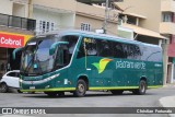 Pássaro Verde 18914 na cidade de Coimbra, Minas Gerais, Brasil, por Christian  Fortunato. Número da foto: #13292386.