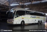 Pluss Chile LPGY10 na cidade de Estación Central, Santiago, Metropolitana de Santiago, Chile, por Sebastián Ignacio Alvarado Herrera. Número da foto: #13292059.