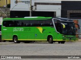 Pássaro Verde 23181 na cidade de Divinópolis, Minas Gerais, Brasil, por Igor Policarpo. Número da foto: #13292029.