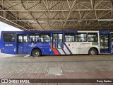 Vipol Transportes Rodoviários - TIPBUS - Transportes Intermunicipal 36.205 na cidade de Guarulhos, São Paulo, Brasil, por Davy Santos. Número da foto: #13290608.