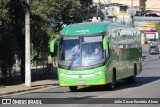 Pássaro Verde 16909 na cidade de Viçosa, Minas Gerais, Brasil, por Julio Cesar Euzebio Alves. Número da foto: #13292991.