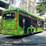 TRANSPPASS - Transporte de Passageiros 8 0306 na cidade de São Paulo, São Paulo, Brasil, por Michel Nowacki. Número da foto: #13292792.