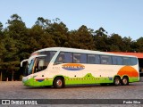 Dalfa Turismo 5190 na cidade de Cristal, Rio Grande do Sul, Brasil, por Pedro Silva. Número da foto: #13291173.