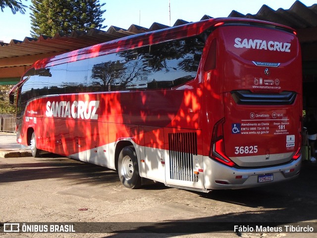 Viação Santa Cruz 36825 na cidade de Três Corações, Minas Gerais, Brasil, por Fábio Mateus Tibúrcio. Número da foto: #13294898.