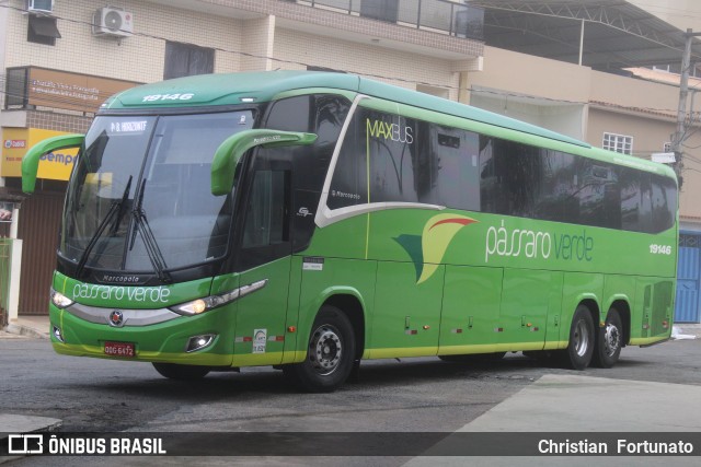Pássaro Verde 19146 na cidade de Coimbra, Minas Gerais, Brasil, por Christian  Fortunato. Número da foto: #13295406.