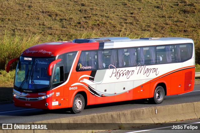 Empresa de Ônibus Pássaro Marron 5403 na cidade de Canas, São Paulo, Brasil, por João Felipe. Número da foto: #13294591.